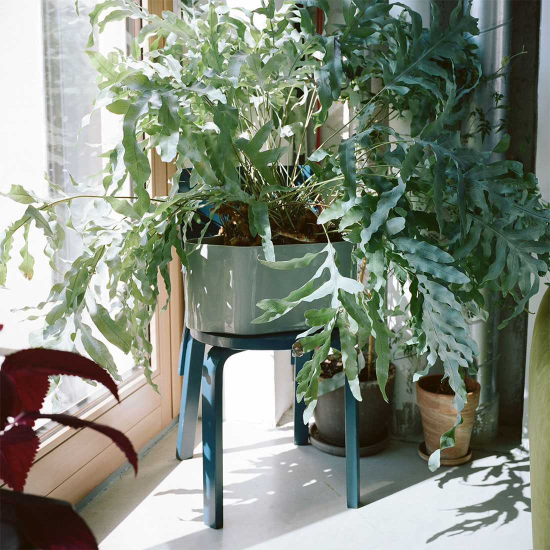 レビュー特典あり】artek アルテック RIIHITIE PLANT POT A SMALL