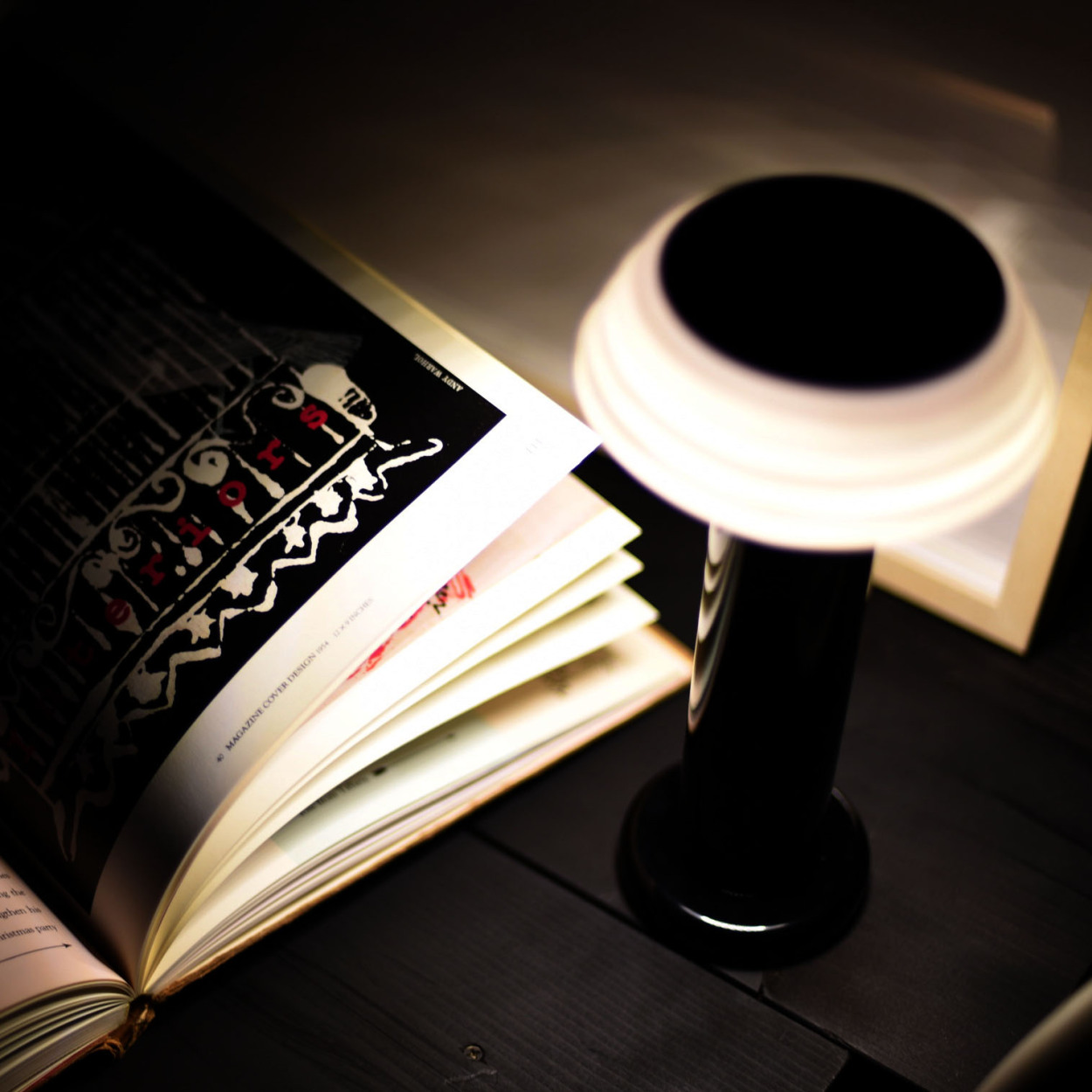 SowdenLight ソーデンライト SOWDENLIGHT PORTABLE LAMP ソーデン