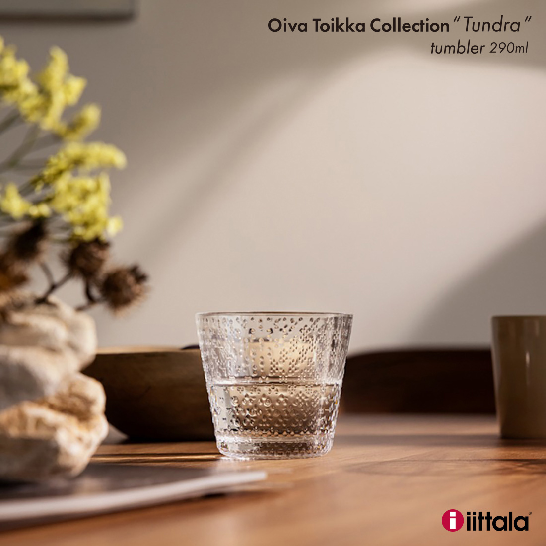 iittala イッタラ ツンドラ タンブラー 290ml Tundra オイバトイッカ 1065611｜shinwashop