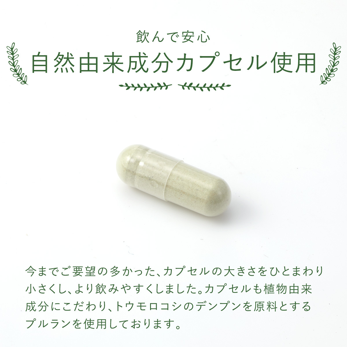 新品　新谷酵素 エンザイムプレミアム 32粒 (5回分)  6セット 新谷酵素 お試しセット 酵素サプリ / 乳酸菌サプリ 麹菌