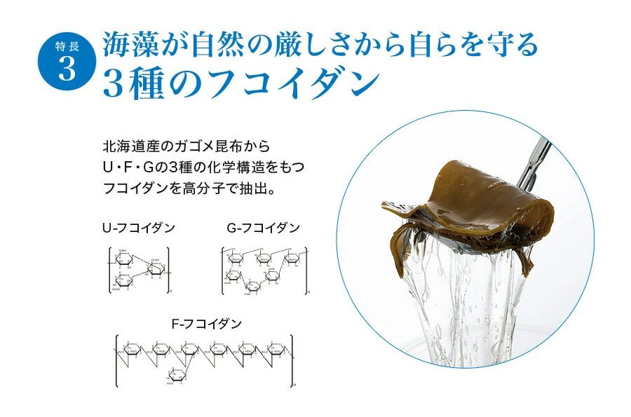 海藻が自然の厳しさから自らを守る、3種のフコイダン