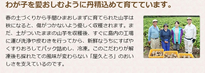 わが子を愛おしむように丹精込めて育てています。丹精こめた山芋（やまいも）を新鮮なうちにすばやくすりおろして、小分け・パック詰めし冷凍しています。