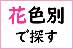 花色別で探す