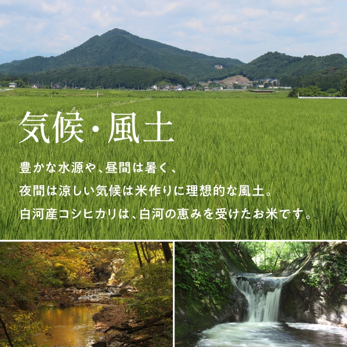 コシヒカリ 米 お米 5kg 赤 白河産コシヒカリ 令和7年度 送料無料 福島