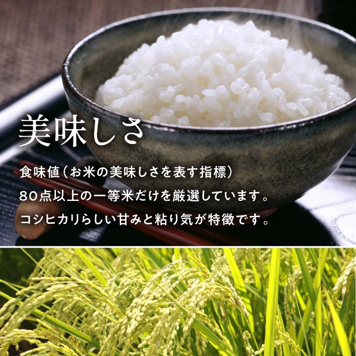 コシヒカリ 米 お米 10kg 白河産コシヒカリ 令和7年度 送料無料 福島県
