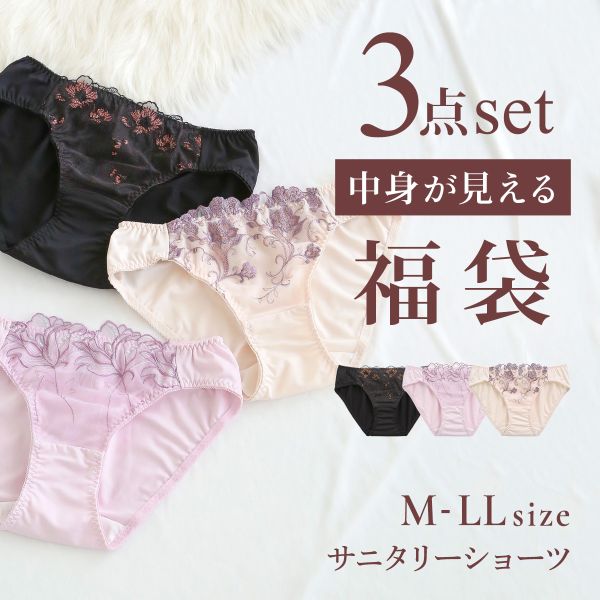 選べる6タイプ サニタリーショーツ福袋 3枚セット 刺繍レース＆ワントーンレース レディース 生理用ショーツ 普通の日用 軽い日用 M L LL | SHIROHATO | 03