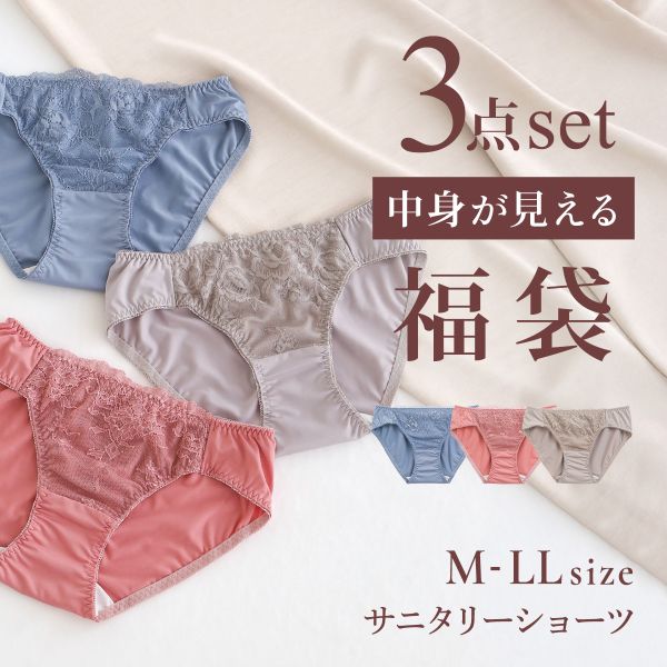 選べる6タイプ サニタリーショーツ福袋 3枚セット 刺繍レース＆ワントーンレース レディース 生理用ショーツ 普通の日用 軽い日用 M L LL | SHIROHATO | 04
