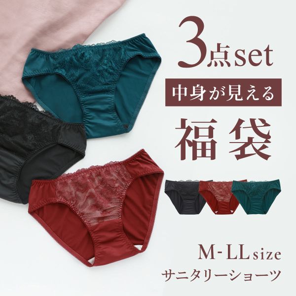 選べる6タイプ サニタリーショーツ福袋 3枚セット 刺繍レース＆ワントーンレース レディース 生理用ショーツ 普通の日用 軽い日用 M L LL | SHIROHATO | 06