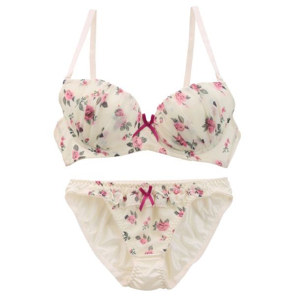 イーエスフェアリー Es Fairy プチニーノ ブラジャー ショーツ セット def プチプラ 大きいサイズ Shirohato 白鳩 通販 Paypayモール