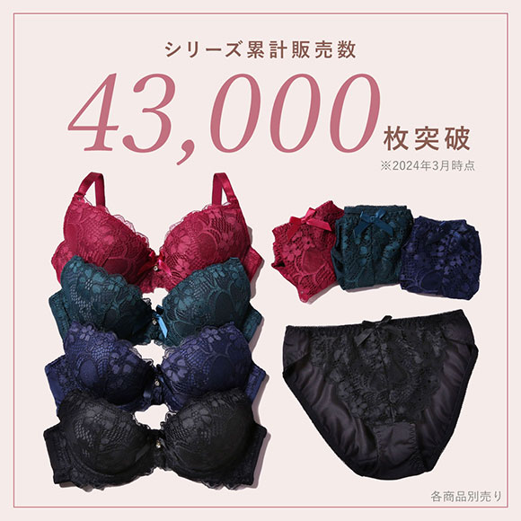 フェミニンレース ブラジャー ショーツ セット ABCDE 総レース