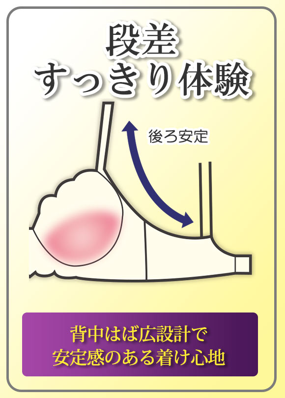 段差すっきり体験 フラワーブーケ グラマーブラセット DEF75-90 アンダー大きいサイズ ブラジャー ショーツ セット