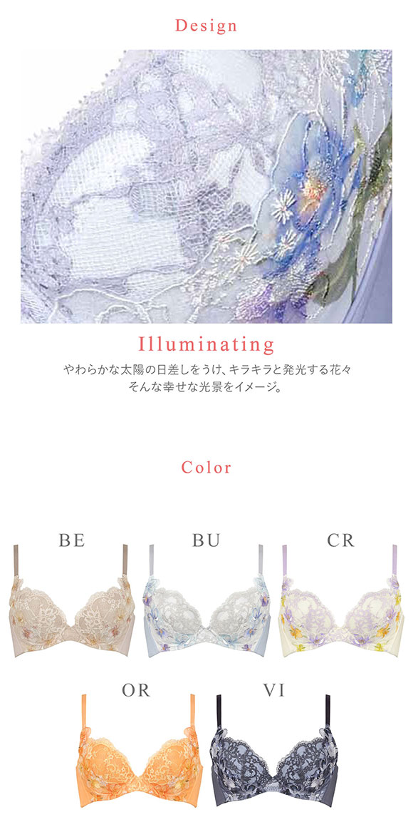 ワコール Wacoal ハグするブラ BRB498 ブラジャー DEF 単品
