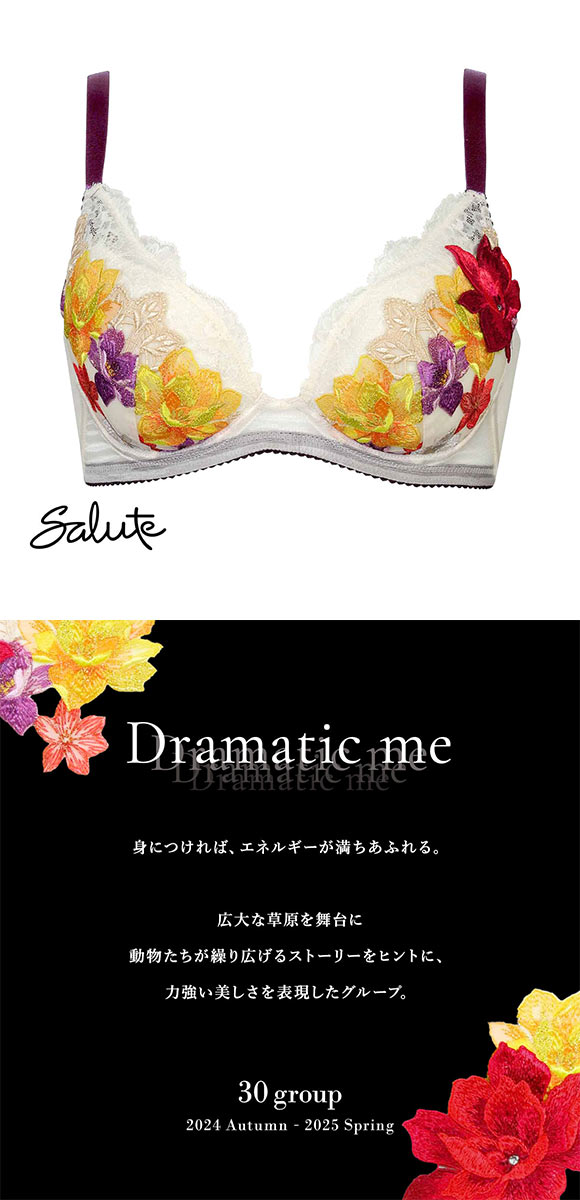 ワコール　Salute サルート　ブラジャー H85 小さく見せるブラ Amazon | ワコール Wacoal サルート Salute 30G 小さく見せる