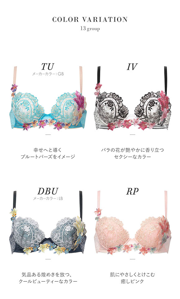 サルート ワコール 13グループ 13G P-UP ブラジャー DEF