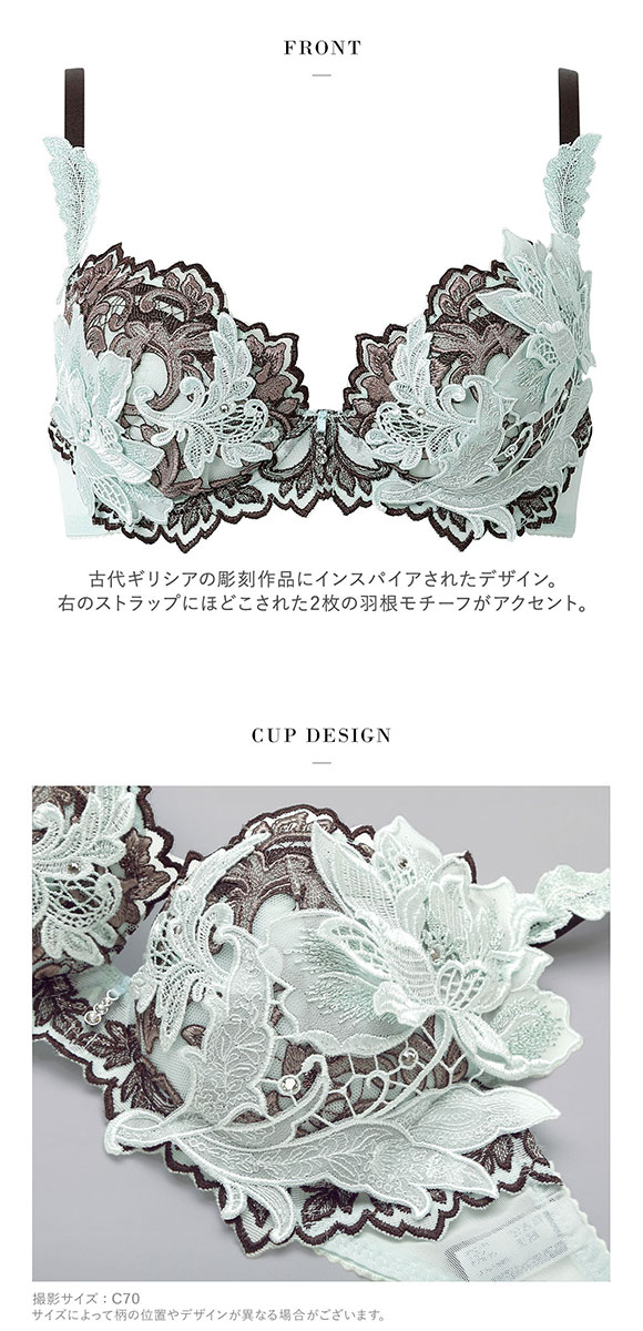 サルート（SALUTE） ワコール 32グループ 32G P-UP ブラジャー DEF