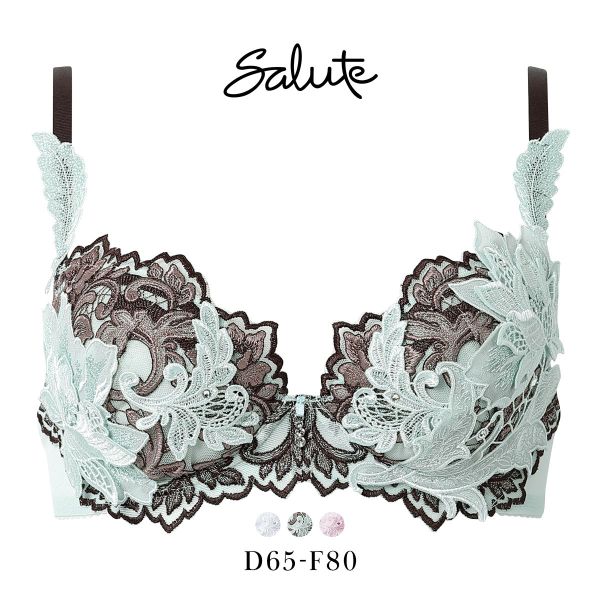 サルート（SALUTE） ワコール 32グループ 32G P-UP ブラジャー DEF