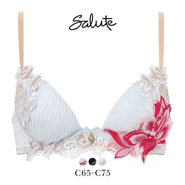 サルート(SALUTE) ワコール 38グループ 38G フロントエックスプラス サルート(SALUTE) ワコール 38グループ 38G フロントエックスプラス