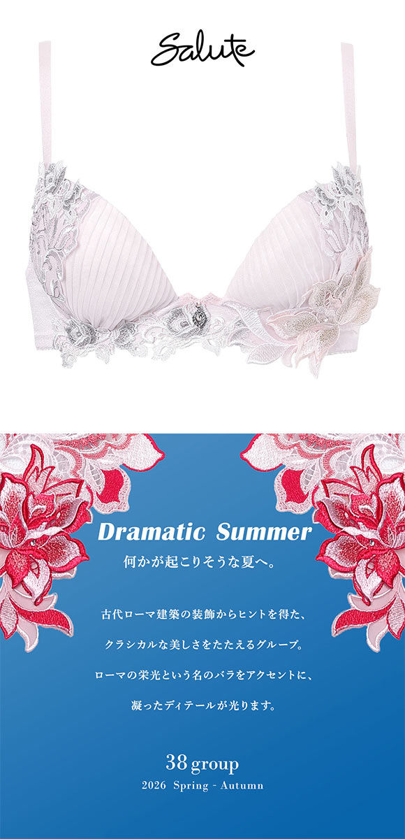 サルート(SALUTE) ワコール 38グループ 38G フロントエックスプラス サルート(SALUTE) ワコール 38グループ 38G フロントエックスプラス