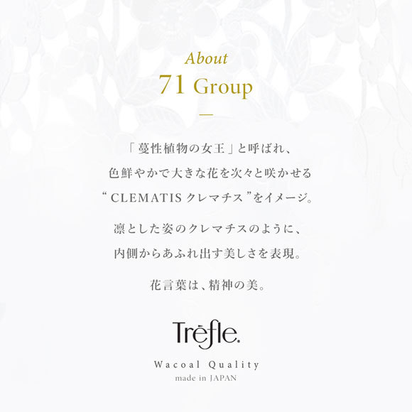 がございま ワコール 80 85 90 スタンダードシルエット メール便 10 Shirohato 白鳩 通販