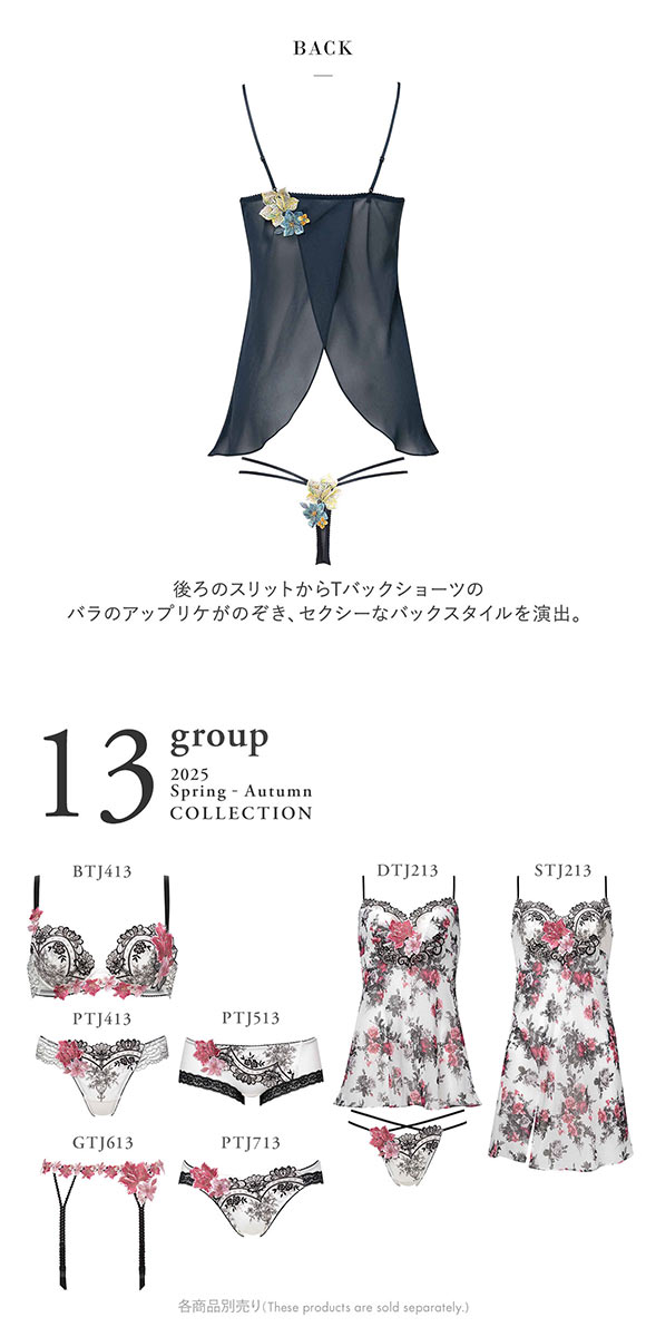 サルート ワコール 13グループ 13G セットアップ ML