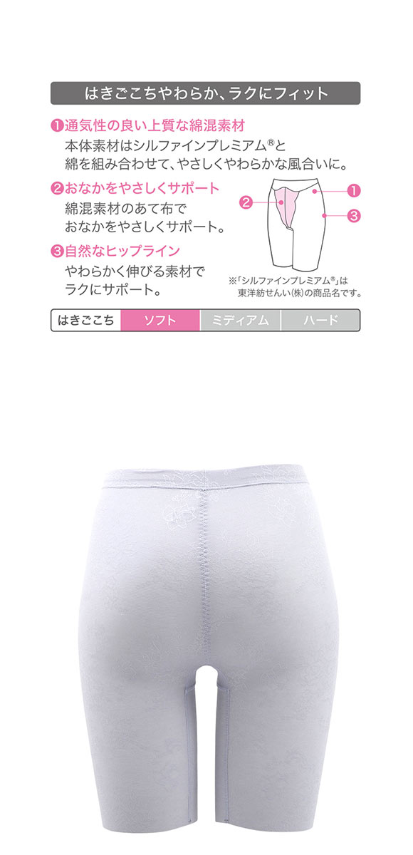 WACOAL ワコール Wacoal エバーシック EverChic はきごこち