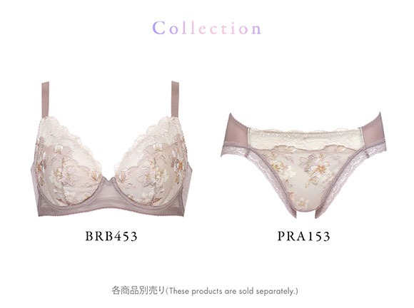 ワコール Wacoal 小さく見せるブラ BRB453 スタンダード ショーツ LL 単品