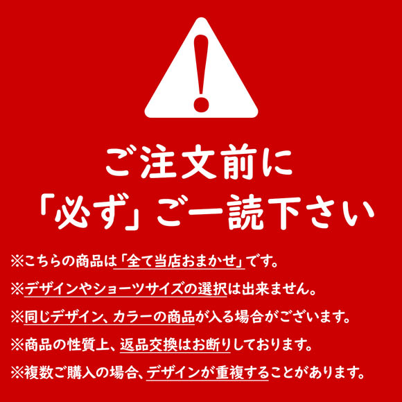 BISHO ブラジャー ショーツ セット 3点 福袋 おまかせ