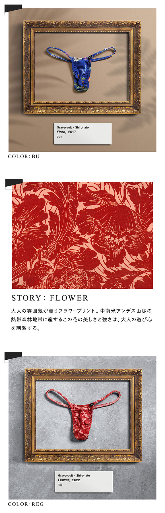 ティーエムコレクション TM collection×Gravevault×SHIROHATO トリプルコラボ Archives Tバック
