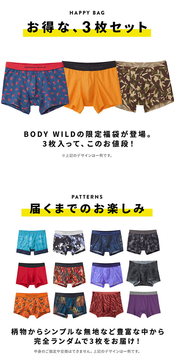 グンゼ GUNZE ボディワイルド BODY WILD ボクサーパンツ お楽しみ福袋 3枚セット メンズ アンダーウェア