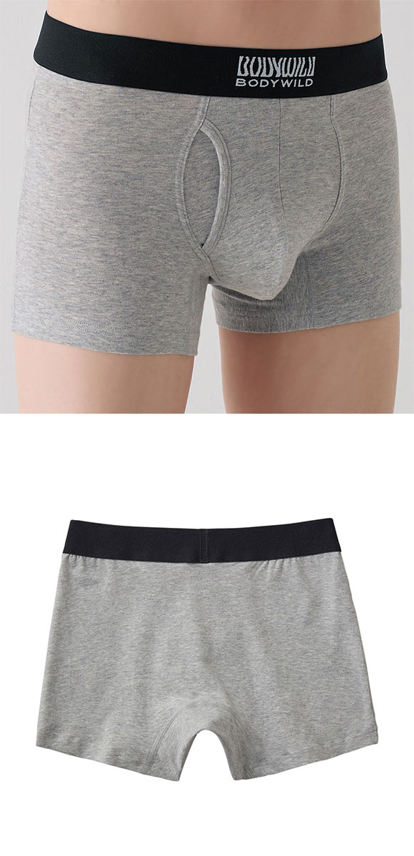 グンゼ GUNZE ボディワイルド BODY WILD ボクサーパンツ メンズ オーガニックコットン混 前あき M L LL