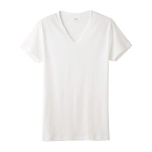 グンゼ GUNZE ワイジー YG コットン100％ Vネック Tシャツ メンズ 定番 ベーシック ...