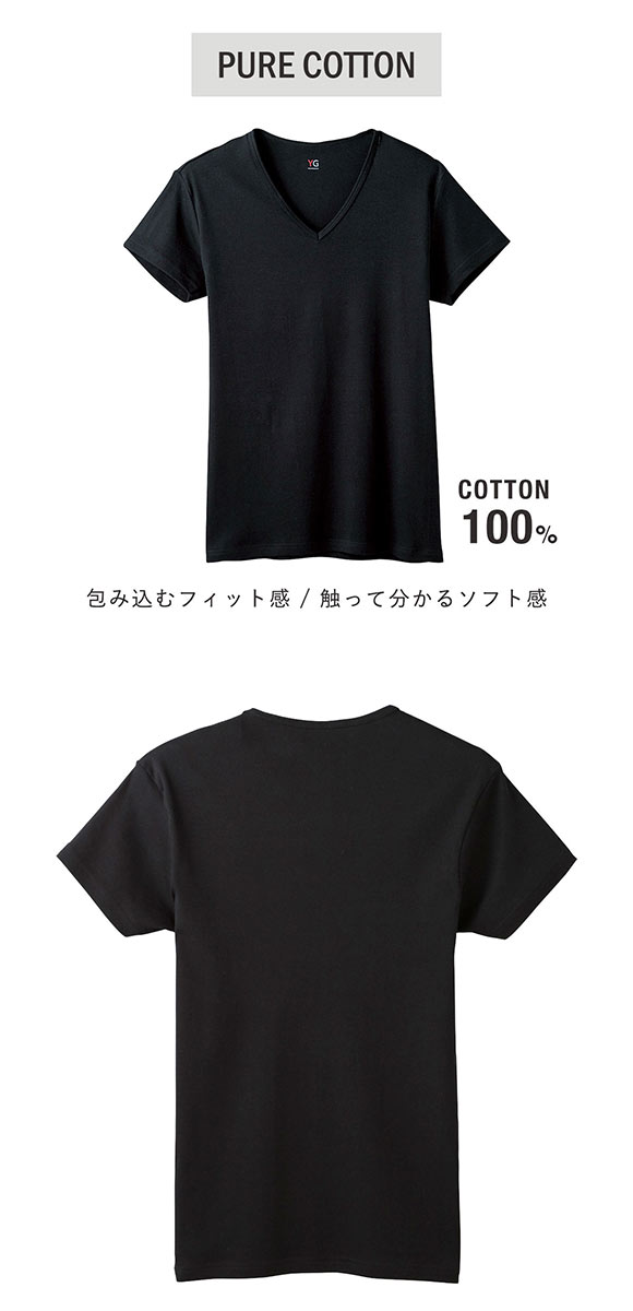 グンゼ GUNZE ワイジー YG コットン100％ Vネック Tシャツ メンズ 定番 ベーシック オールシーズン 三枚組