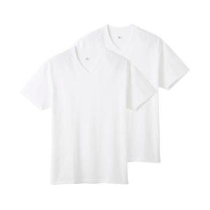 グンゼ GUNZE ワイジー YG コットン100% Vネック Tシャツ 2枚組 メンズ インナー ...