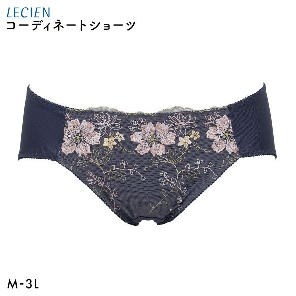 ショーツ14枚 ブラ3つ 未使用 セット ワコール等 バラ売可 グンゼ ルシアン 7416702-cfm04m.jpg?size=n