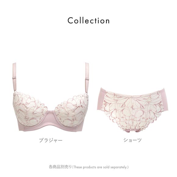 ルシアン キレイ魅せ 美背中メイクブラ ショーツ スタンダード M L LL 単品 下着 LECIEN