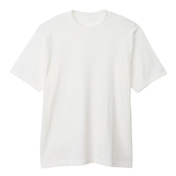 ヘインズ Hanes SHIRO クルーネックTシャツ メンズ インナー 大きいサイズ 半袖 白T ...