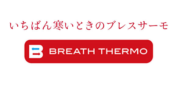 ミズノ MIZUNO ブレスサーモ BREATH THERMO サポーター ひざ用 2枚入り あったか