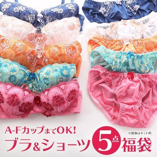 SHIROHATO（白鳩） ブラジャー ショーツ 5点セット 福袋 おまかせ