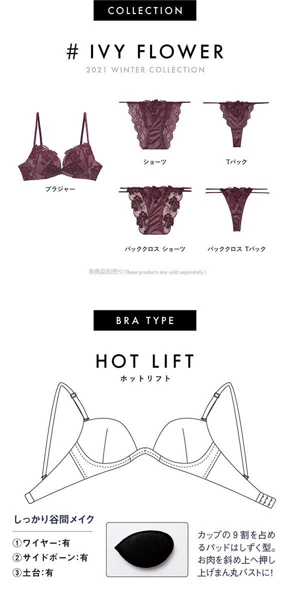 ロマンスを ラヴィジュール E 大きいサイズ Shirohato 白鳩 通販 Paypayモール Ravijour アイビーフラワー ホットリフト 単品 ブラジャー パッドあり Balochistan Gov Pk