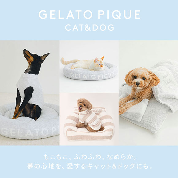 ジェラートピケ CAT&DOG 販路限定商品 ハーネス gelato pique