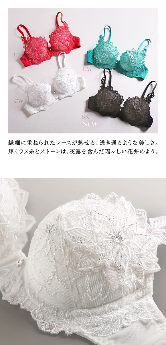 HIMICO 儚く神秘的な Regina della Notte ブラジャー BCDEF 011series 単品