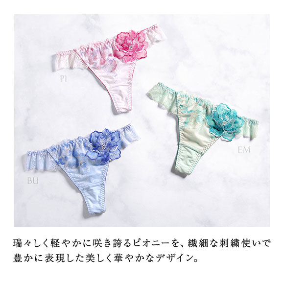HIMICO ヒミコ ショーツ Tバック ソング タンガ M L バックレース 単品 019series ランジェリー