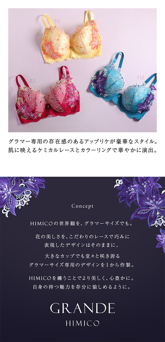 HIMICO GRANDE 002 ブラジャー 大きいサイズ GHI 65-85 Giglio Regina 単品 グラマーサイズ :  c2223hmg002br : SHIROHATO(白鳩) - 通販 - Yahoo!ショッピング