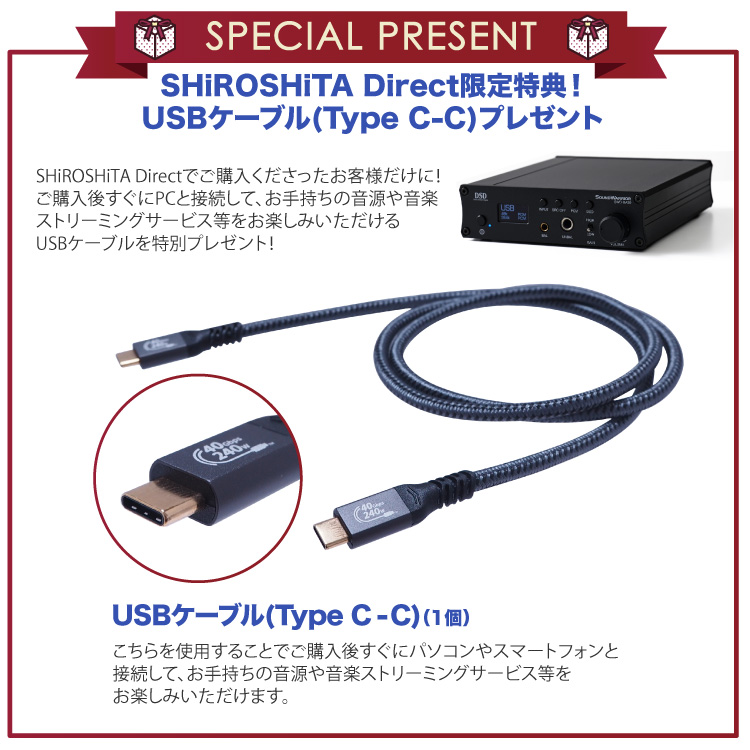 SOUNDWARRIOR D/Aコンバーター DAC アンプ USB Type-C 日本製