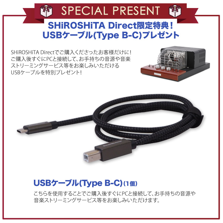 SWL-T20U-SD USB DAC 内蔵 真空管 プリメインアンプ PHONO アナログ オーディオ ステレオ アンプ 真空管アンプ キット  日本製 木製 コンパクト SOUNDWARRIOR : swl-t20u-sd : SHiROSHiTA Direct - 通販 -  Yahoo!ショッピング