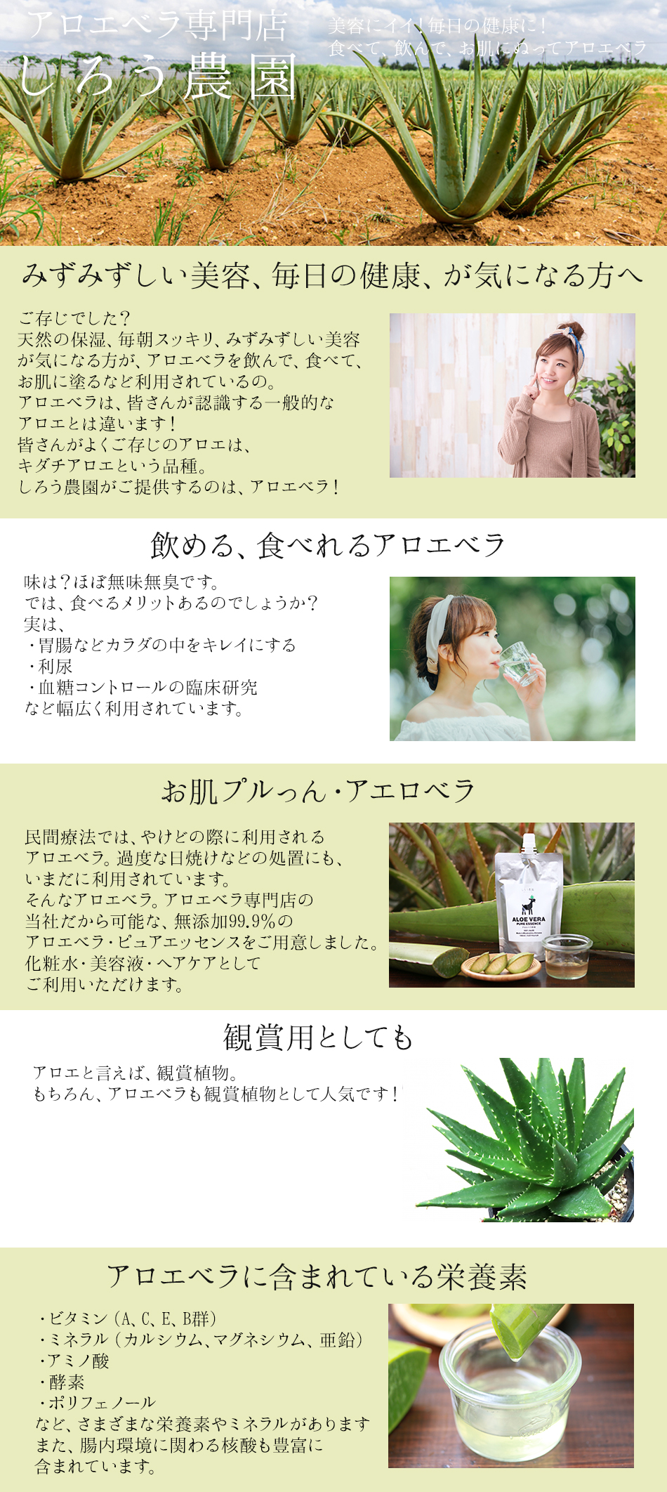 アロエベラ専門店しろう農園 - Yahoo!ショッピング