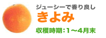 ジューシーで香り良しきよみ収穫時期：1〜4月末