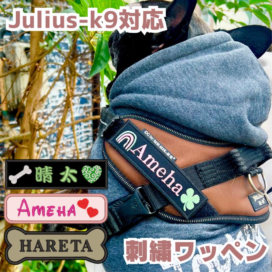 Mサイズ 愛犬 ユリウス 刺繍 ワッペン ネームタグ 刺繍 julius-k9 ユリウスk9 対応｜shishu-nanairo