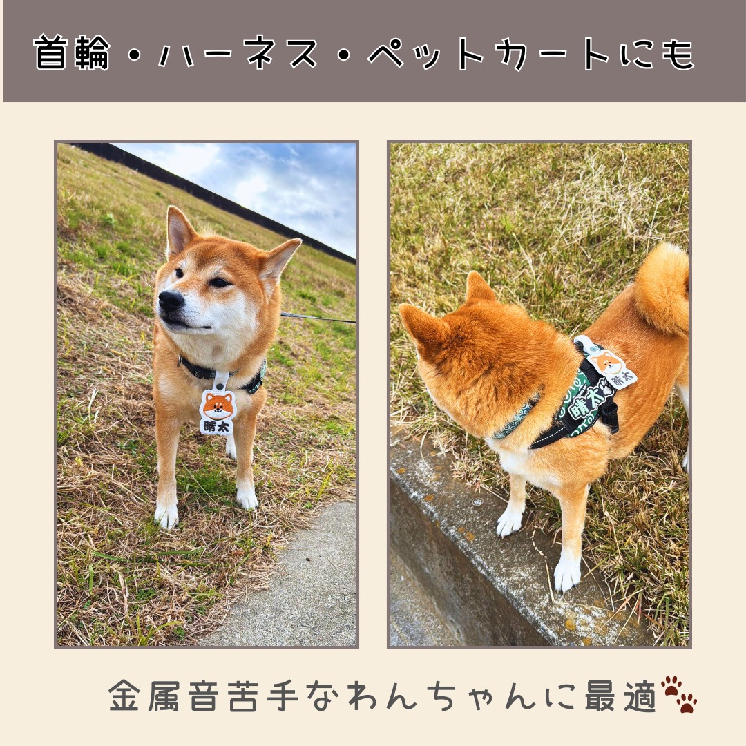モコモコのネームタグ 首輪 犬 名前入り 迷子札 もこもこ カート
