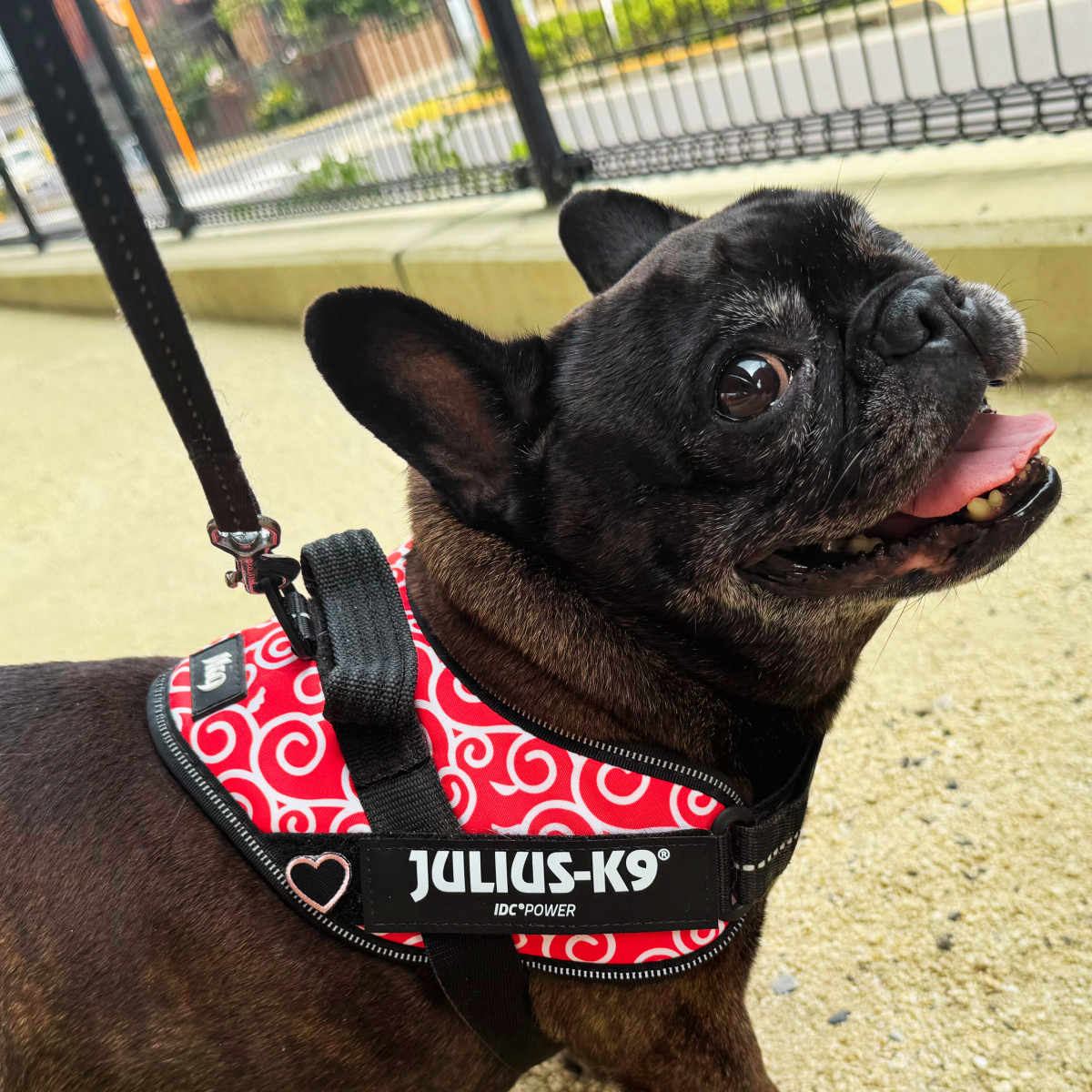 JULIUS-K9（ユリウスケーナイン） プチワッペン2枚プレゼント ユリウス